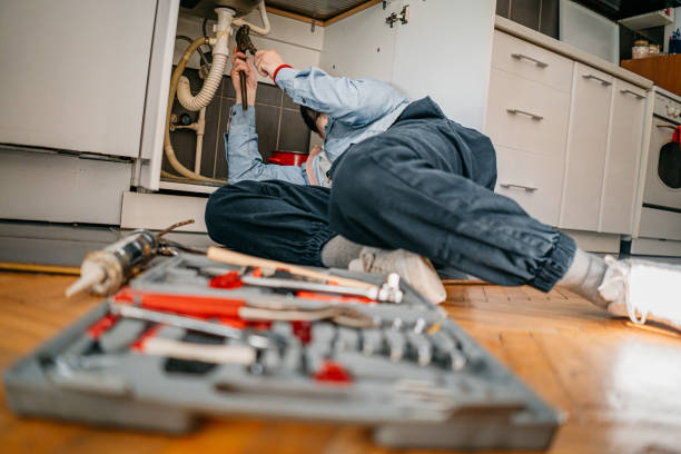 Best Local Plumber Services  in Coyne Center, IL