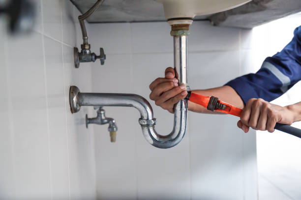 Best Plumbing Services Near Me  in Coyne Center, IL