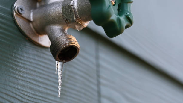 Best Gas Line Repair  in Coyne Center, IL